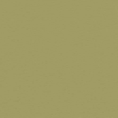 Light Green Plain Roller Blind in Carnival Willow FR / Antibacterial fabric